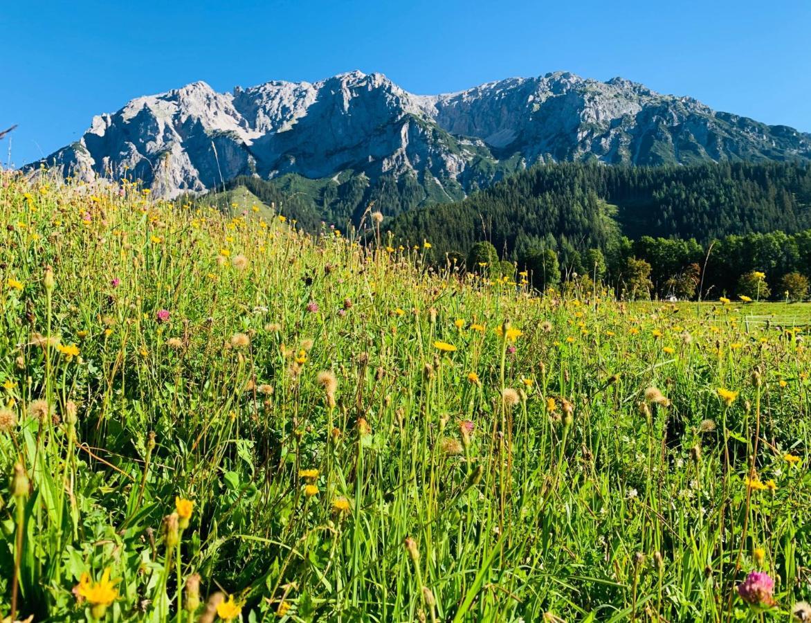 Bergkristallhaus 람자우 암 다흐스타인 외부 사진