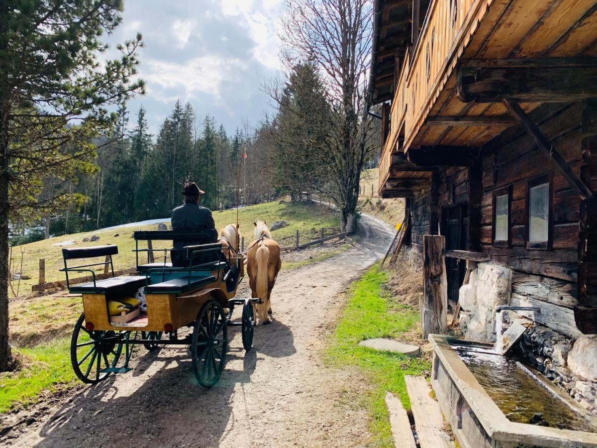 Bergkristallhaus 람자우 암 다흐스타인 외부 사진