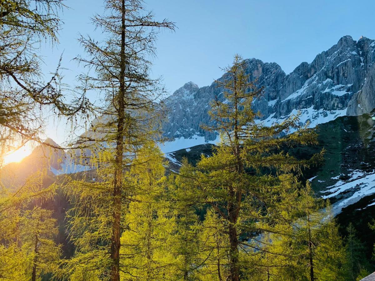 Bergkristallhaus 람자우 암 다흐스타인 외부 사진